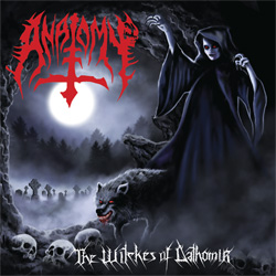 Anatomy The Witches of Dathomir cover